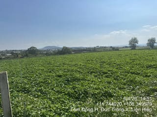 TS671_Bán đất tại Huyện Đức Trọng, Lâm Đồng
