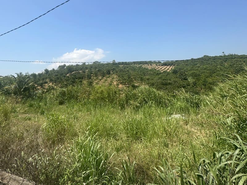 TS674_Bán đất tại Huyện Di Linh, Lâm Đồng