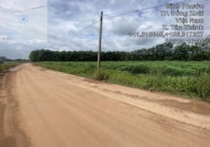 TS893_Bán 5 lô đất tại Tân Thành, Đồng Xoài, Bình Phước