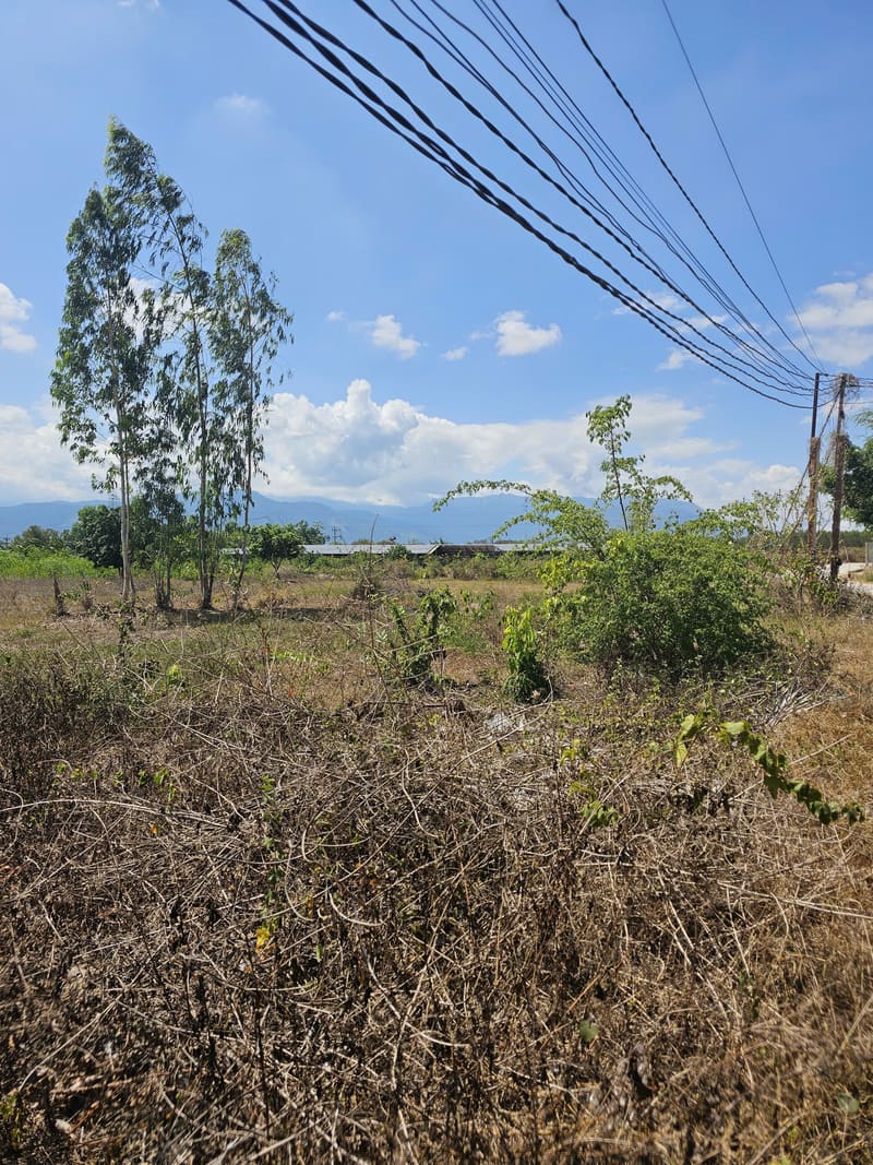 TS915_Bán đất tại Ninh Sim, Ninh Hòa, Khánh Hòa