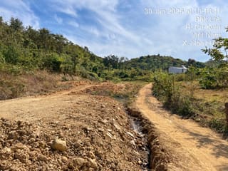 TS948_Bán ba thửa đất trồng cây lâu năm tại Hòa Hiệp, Cư Kuin, Đắk Lắk