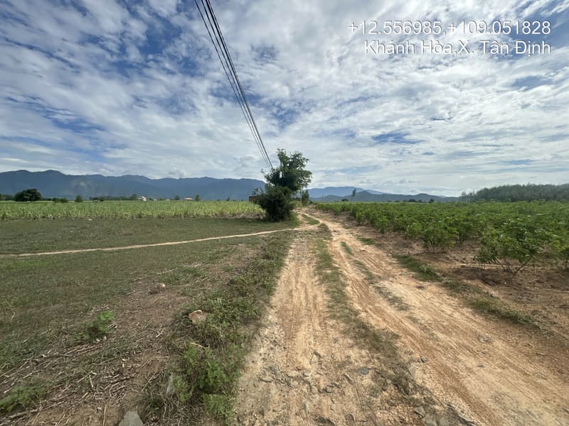 TS901_Bán đất tại Ninh Xuân, Ninh Hòa, Khánh Hòa