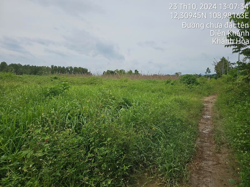 TS905_Bán đất tại Diên Xuân, Diên Khánh, Khánh Hòa