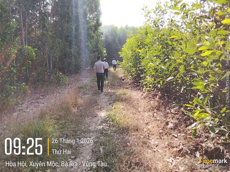 Bán BĐS tại Xã Hòa Hội, huyện Xuyên Mộc, tỉnh Bà Rịa Vũng Tàu — ảnh 2 trên 6