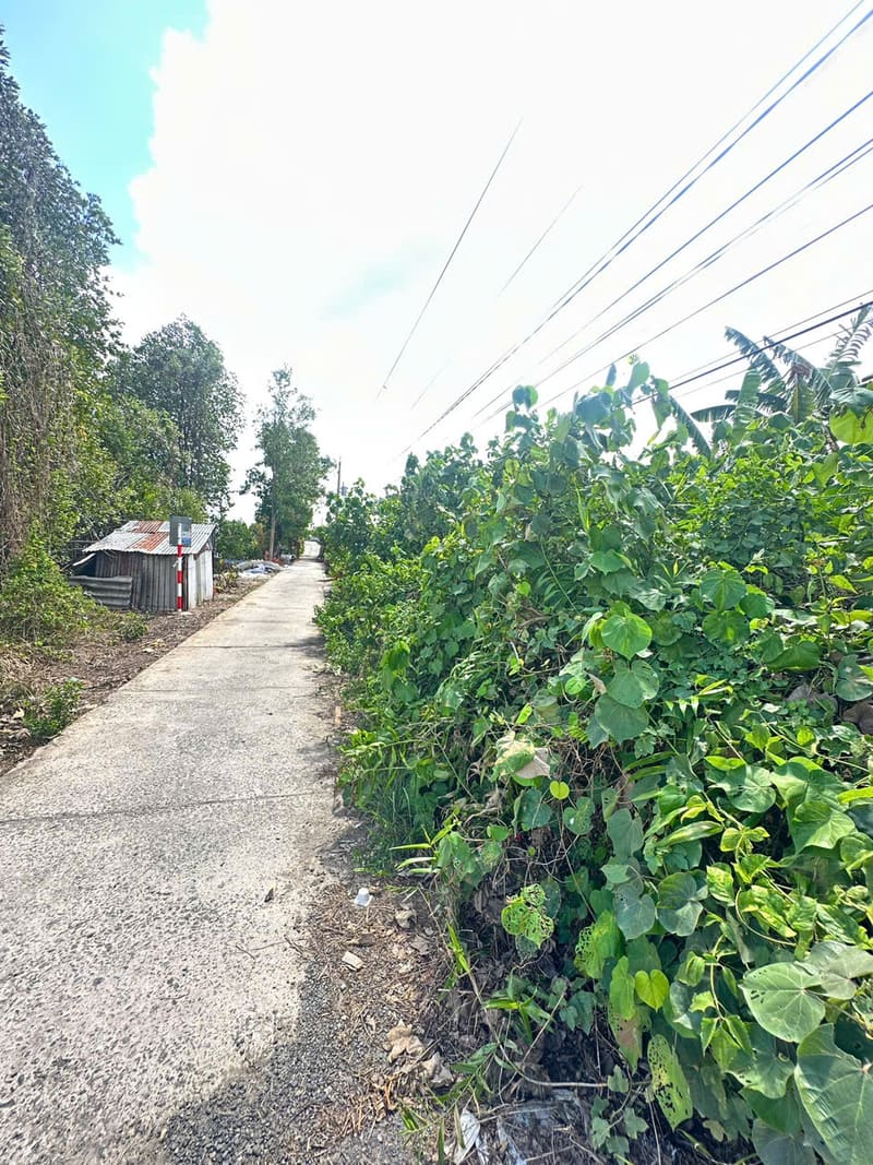 Bán TS tại Ấp 6, xã Tân Thành, Thành phố Cà Mau — ảnh 7 trên 7