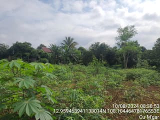 Xem ảnh 2
