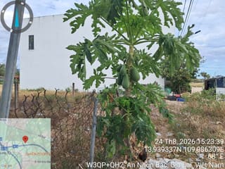 Xem ảnh 1