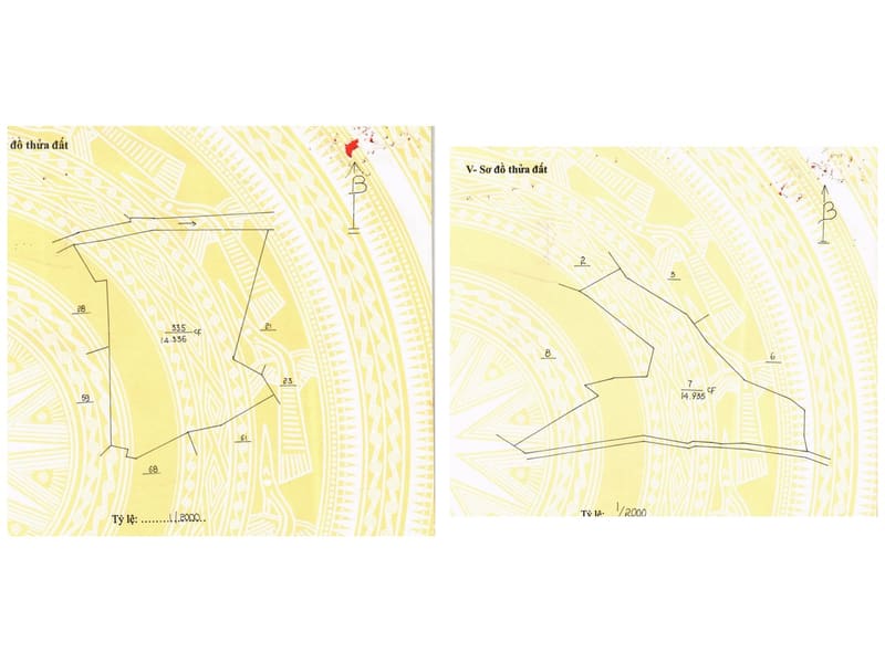 TS908_Bán 2 thửa đất tại Đinh Lạc, Di Linh, Lâm Đồng — ảnh 5 trên 5
