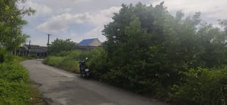 Xem ảnh 4