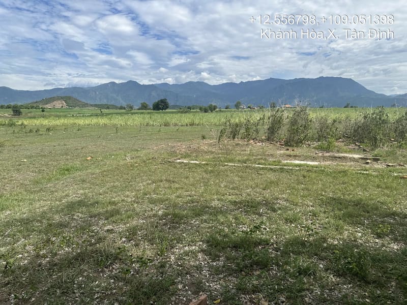 TS901_Bán đất tại Ninh Xuân, Ninh Hòa, Khánh Hòa — ảnh 4 trên 5