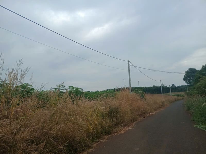 Bán BĐS tại Xã phước Tân, huyện Xuyên Mộc, tỉnh Bà Rịa Vũng Tàu — ảnh 6 trên 8