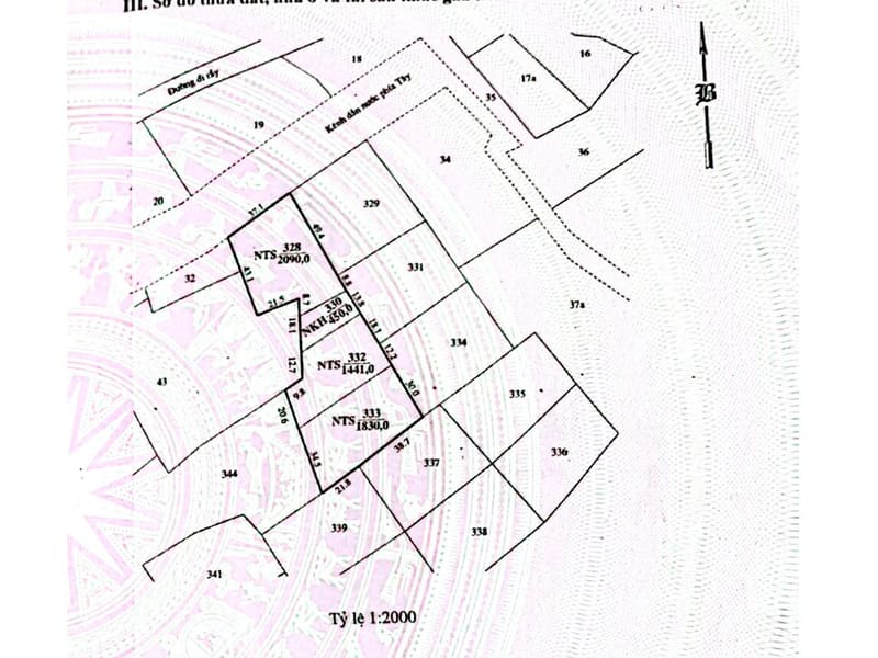 TS922_Bán đất và khu ao tại xã Phước Dinh, huyện Thuận Nam, Ninh Thuận — ảnh 7 trên 10