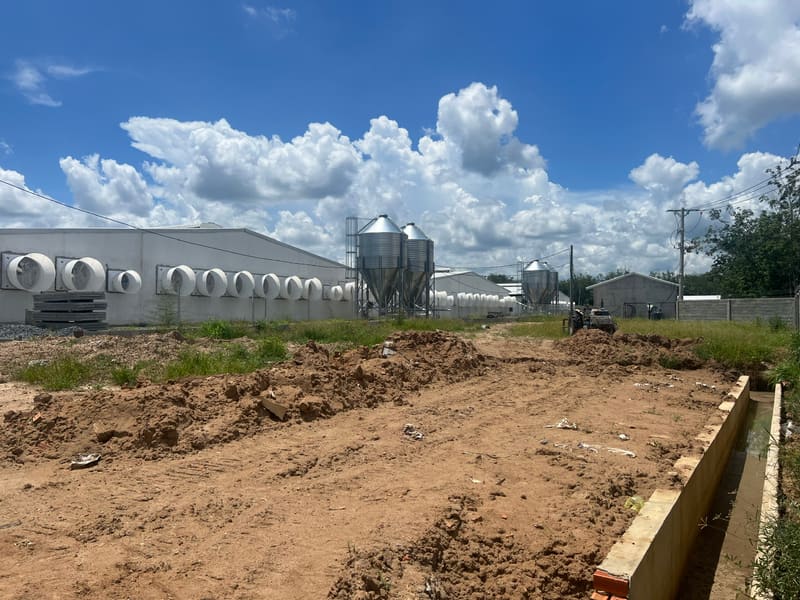 Bán đất và tài sản gắn liền với đất tại xã Tân Lập, huyện Tân Biên, tỉnh Tây Ninh — ảnh 12 trên 20