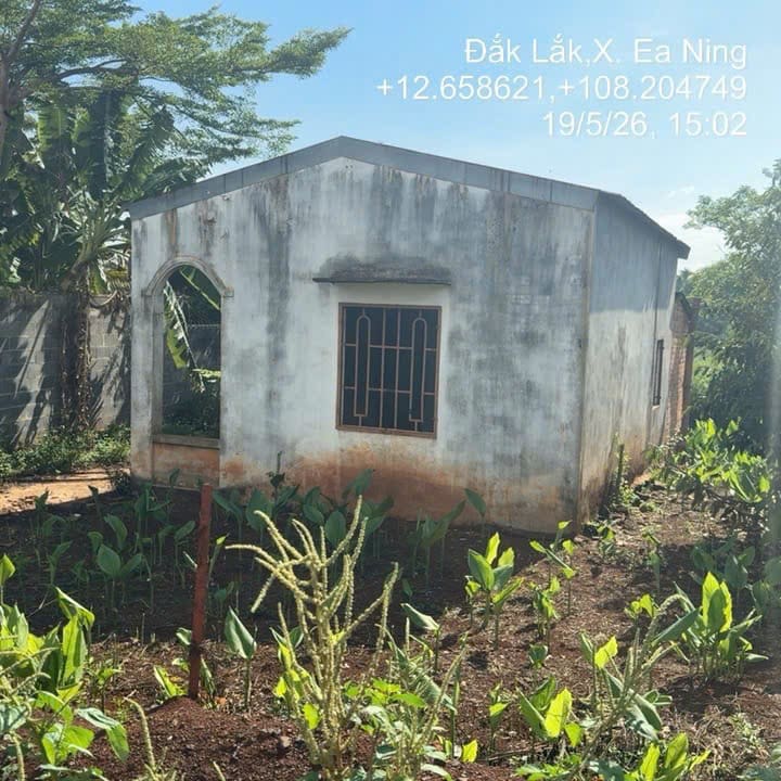 TS946_Bán nhà đất tại Ea Ning, Cư Kuin, Đắk Lắk — ảnh 2 trên 4