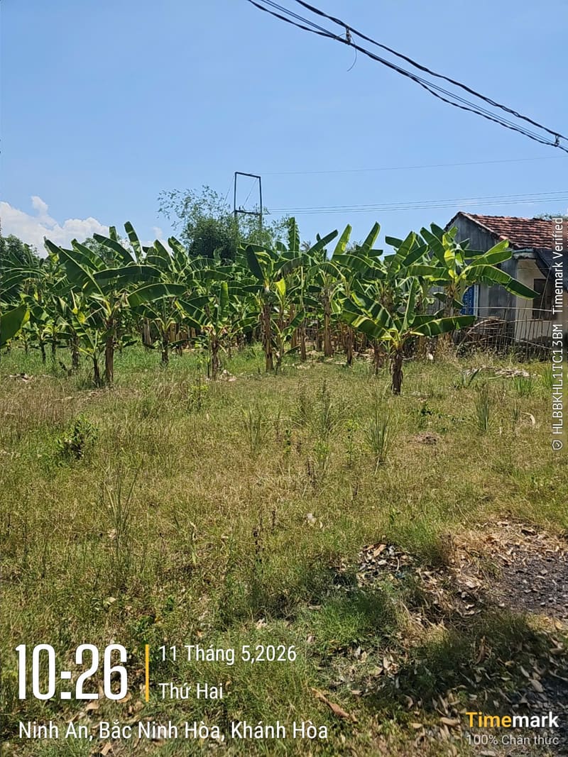 TS913_Bán đất tại Ninh Thọ, Ninh Hòa, Khánh Hòa — ảnh 2 trên 4