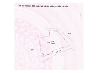 Xem ảnh 5