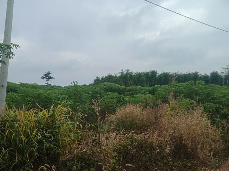 Bán BĐS tại Xã phước Tân, huyện Xuyên Mộc, tỉnh Bà Rịa Vũng Tàu — ảnh 1 trên 8