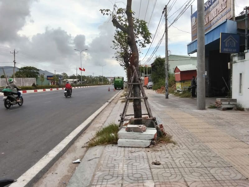 TS703_Bán đất tại Huyện Long Đất, Bà Rịa Vũng Tàu — ảnh 3 trên 4