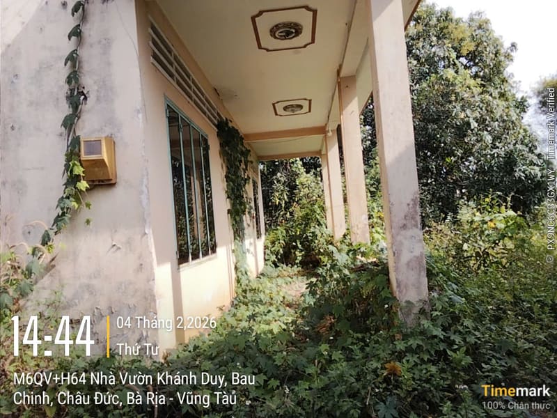 Bán BĐS tại Xã Bàu Chinh, Huyện Châu Đức, Tỉnh Bà Rịa - Vũng Tàu, — ảnh 3 trên 6