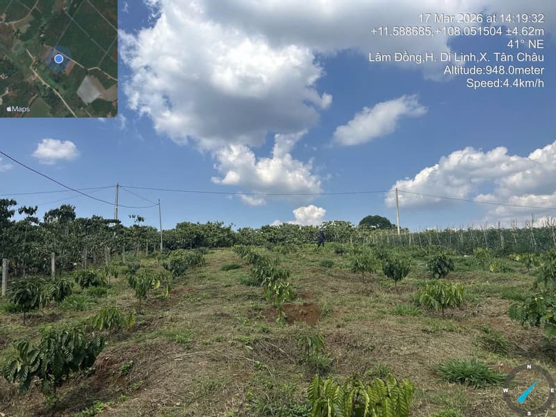 Bán BĐS tại Thị trấn Di Linh, huyện Di Linh, Tỉnh Lâm Đồng (nay là xã Di Linh, tỉnh Lâm Đồng) — ảnh 4 trên 4