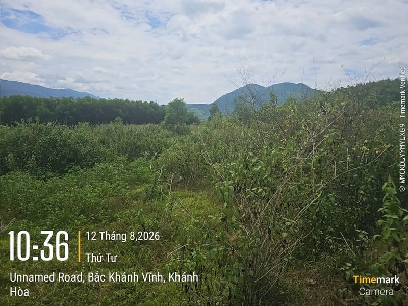 TS944_Bán đất trồng cây lâu năm tại Khánh Đông, Khánh Vĩnh, Khánh Hòa — ảnh 4 trên 6