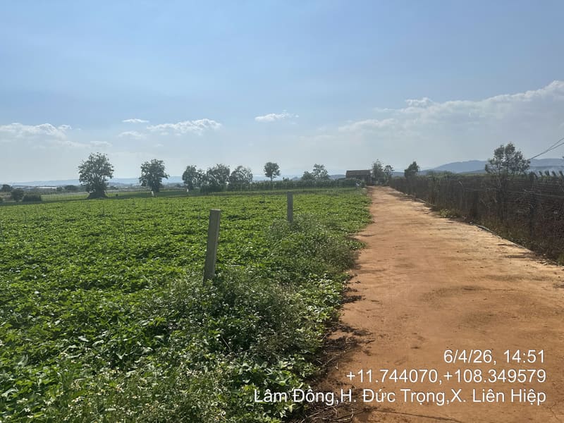 TS671_Bán đất tại Huyện Đức Trọng, Lâm Đồng — ảnh 4 trên 5