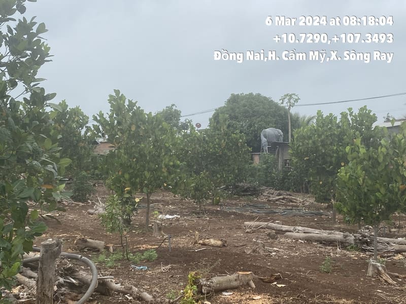 TS303_Bán đất tại Huyện Cẩm Mỹ, Đồng Nai — ảnh 1 trên 2