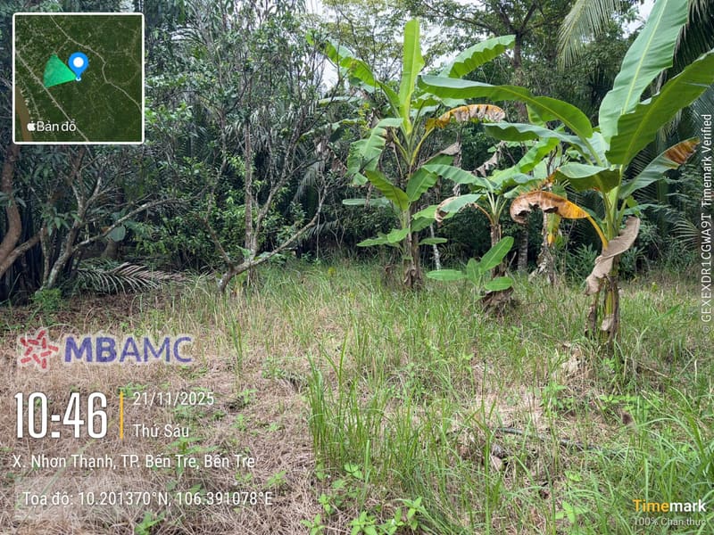 TS811_Bán đất tại Thành phố Bến Tre, Bến Tre — ảnh 1 trên 3