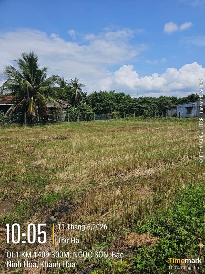 TS916_Bán 2 thửa đất tại Ninh An, Ninh Hòa, Khánh Hòa — ảnh 2 trên 5