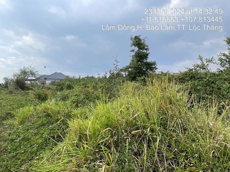TS396_Bán đất tại Huyện Bảo Lâm, Lâm Đồng — ảnh 1 trên 2