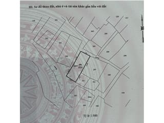 Xem ảnh 5