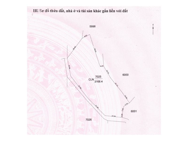 TS948_Bán ba thửa đất trồng cây lâu năm tại Hòa Hiệp, Cư Kuin, Đắk Lắk — ảnh 4 trên 6