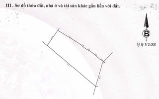 Xem ảnh 8