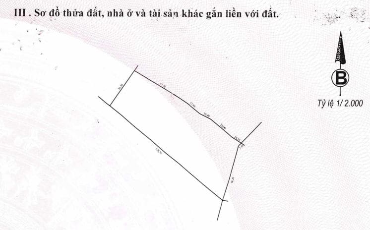 Bán BĐs tại Lạc Dương, Lâm Đồng — ảnh 8 trên 9