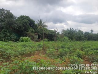 Xem ảnh 1