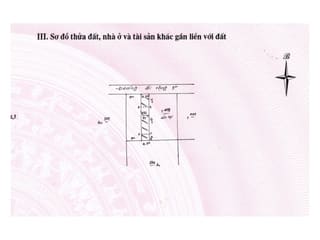 Xem ảnh 5