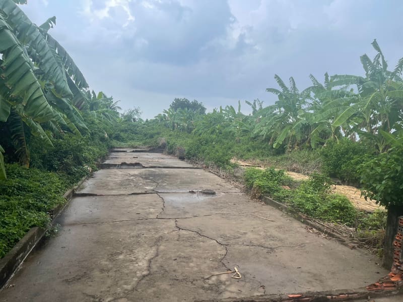 TS191_Bán đất tại Thành phố Gò Công, Tiền Giang — ảnh 4 trên 5