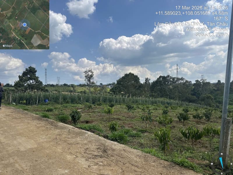 Bán BĐS tại Thị trấn Di Linh, huyện Di Linh, Tỉnh Lâm Đồng (nay là xã Di Linh, tỉnh Lâm Đồng) — ảnh 3 trên 4