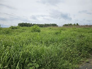 Xem ảnh 2