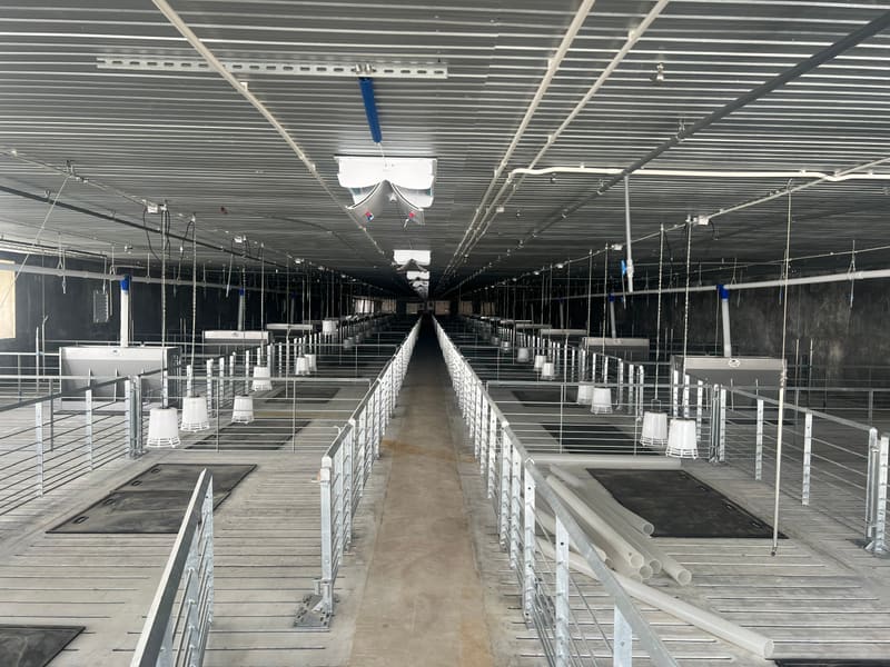 Bán đất và tài sản gắn liền với đất tại xã Tân Lập, huyện Tân Biên, tỉnh Tây Ninh — ảnh 3 trên 20