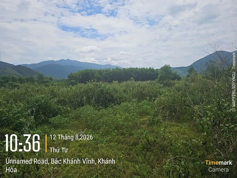 TS944_Bán đất trồng cây lâu năm tại Khánh Đông, Khánh Vĩnh, Khánh Hòa — ảnh 3 trên 6