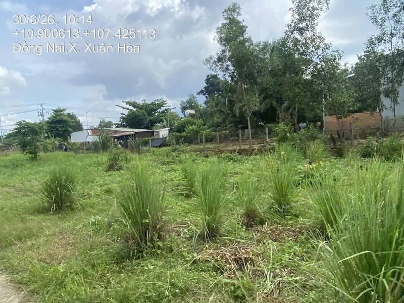 Bán BĐS tại xã Xuân Tâm, huyện Xuân Lộc, tỉnh Đồng Nai (nay là xã Xuân Hòa, TP Đồng Nai) — ảnh 12 trên 17