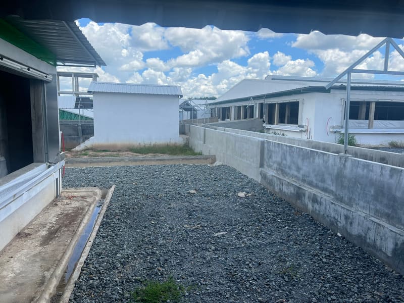 Bán đất và tài sản gắn liền với đất tại xã Tân Lập, huyện Tân Biên, tỉnh Tây Ninh — ảnh 19 trên 20
