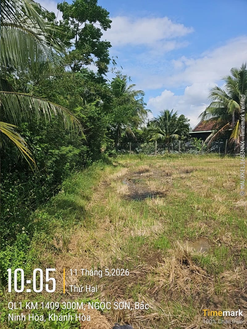 TS916_Bán 2 thửa đất tại Ninh An, Ninh Hòa, Khánh Hòa — ảnh 3 trên 5