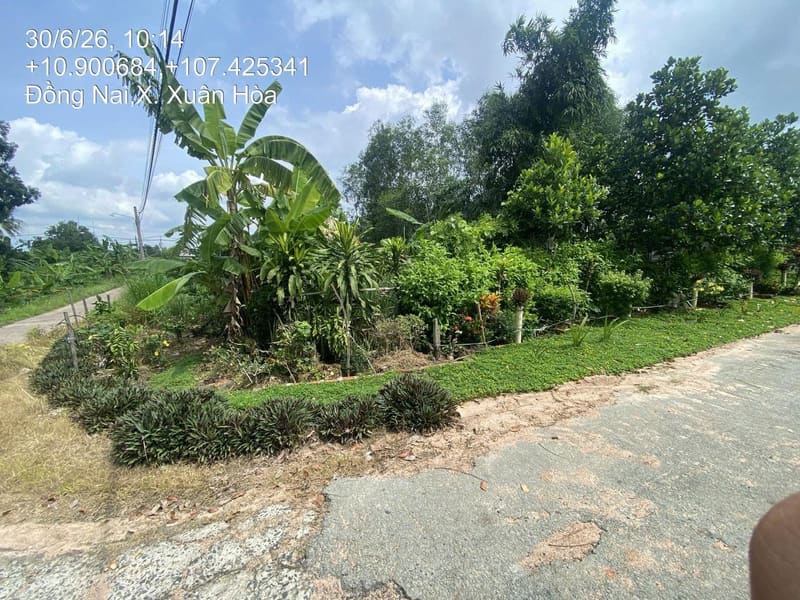 Bán BĐS tại xã Xuân Tâm, huyện Xuân Lộc, tỉnh Đồng Nai (nay là xã Xuân Hòa, TP Đồng Nai) — ảnh 16 trên 17