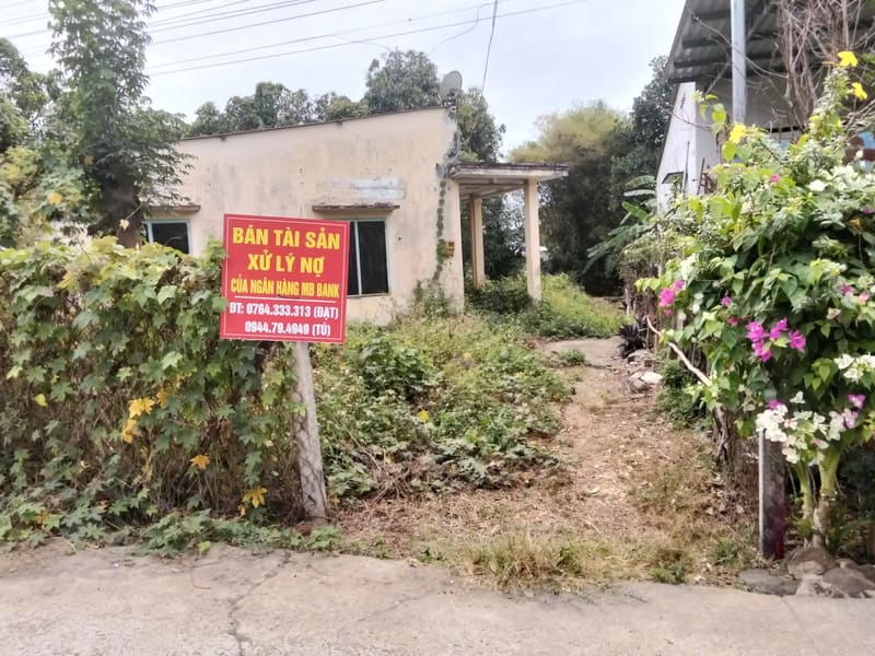 Bán BĐS tại Xã Bàu Chinh, Huyện Châu Đức, Tỉnh Bà Rịa - Vũng Tàu, — ảnh 2 trên 6