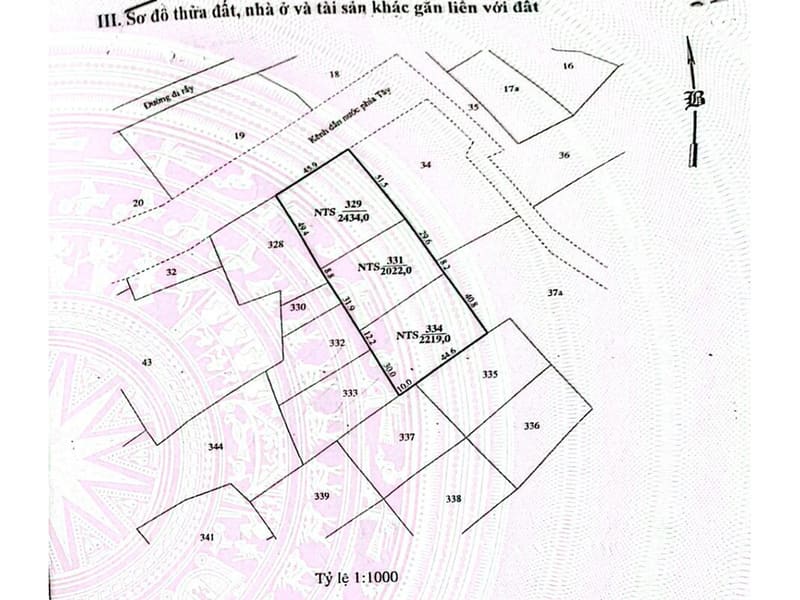 TS922_Bán đất và khu ao tại xã Phước Dinh, huyện Thuận Nam, Ninh Thuận — ảnh 8 trên 10