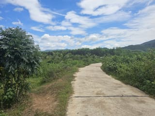 Xem ảnh 2