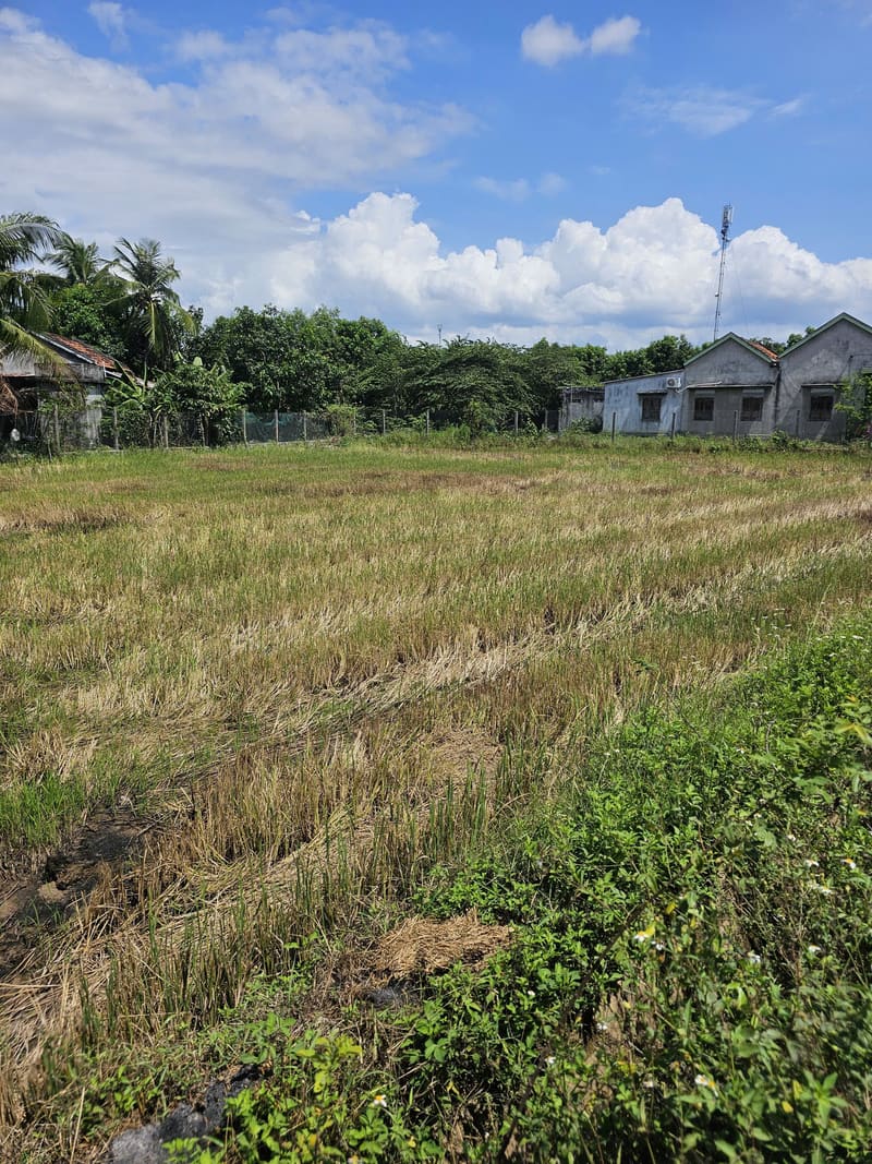 TS916_Bán 2 thửa đất tại Ninh An, Ninh Hòa, Khánh Hòa — ảnh 4 trên 5