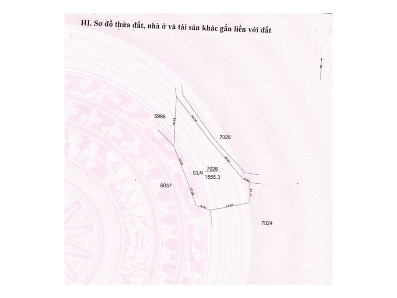 TS948_Bán ba thửa đất trồng cây lâu năm tại Hòa Hiệp, Cư Kuin, Đắk Lắk — ảnh 6 trên 6